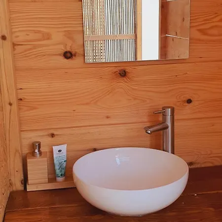 مكان تخييم Free People