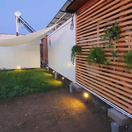 Free People * Vama Veche