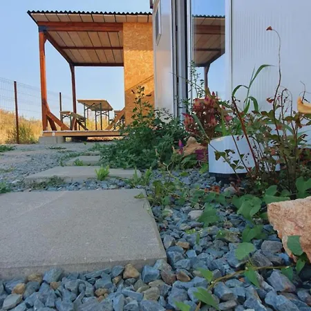 Free People Vama Veche