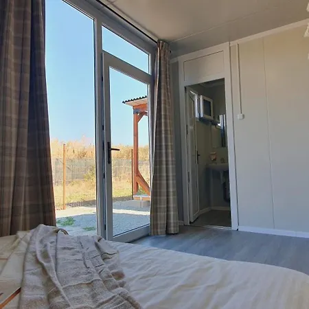 Free People Vama Veche