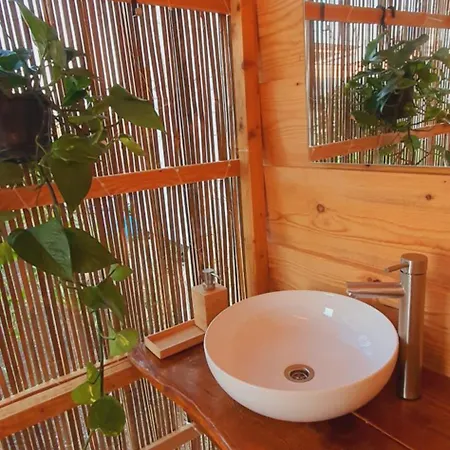 Free People Vama Veche