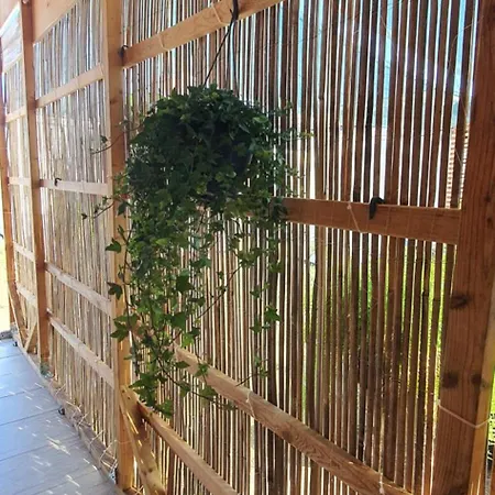 Free People Camping *