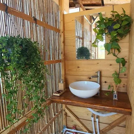 Free People Vama Veche